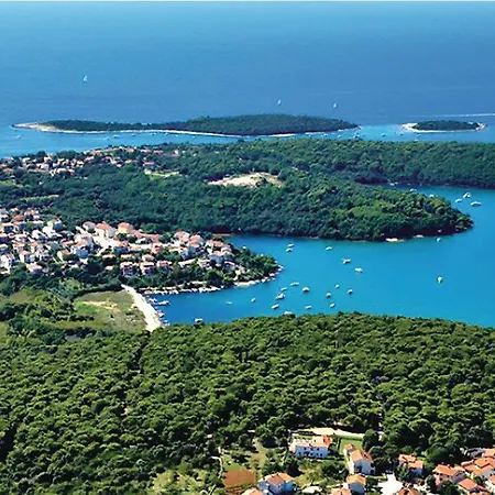 Oliva