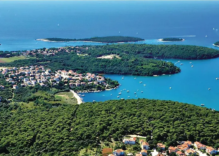 Oliva Holiday Apartment